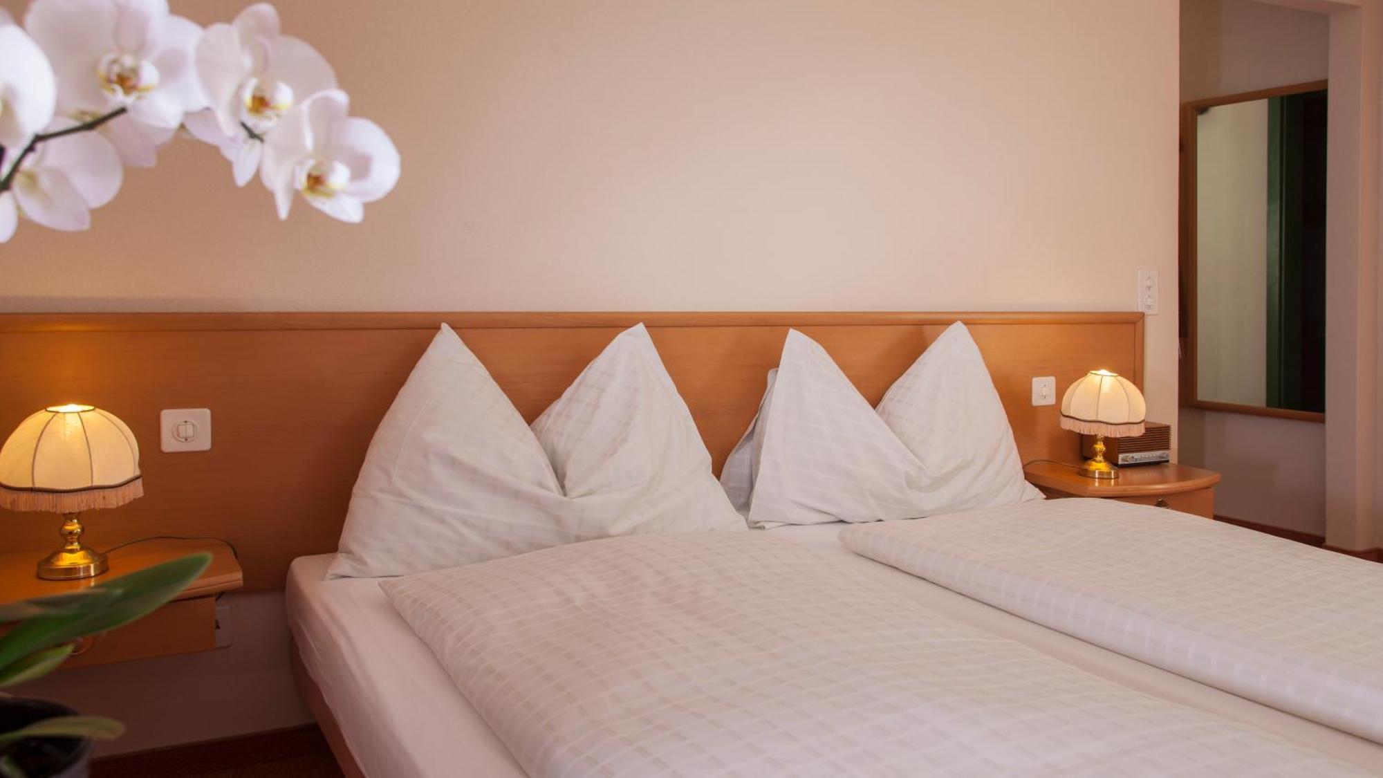 Hotel & Spa Cacciatori Cademario Rom bilde